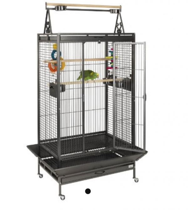liberta cambridge parrot cage for sale