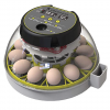 parrot egg incubator